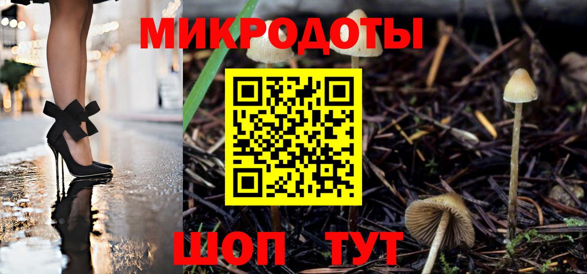 Соль-Илецк  Галлюциногенные грибы GOLDEN TEACHER  Галлюциногенные грибы Magic Shrooms  Вход с VPN 