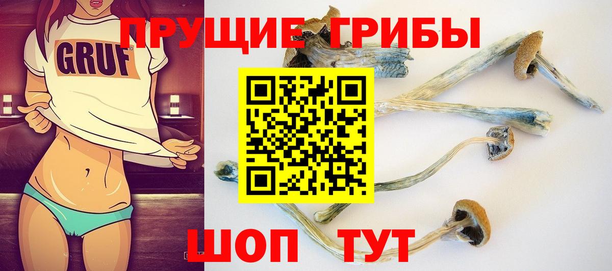 Псилоцибиновые грибы Psilocybine cubensis Соль-Илецк